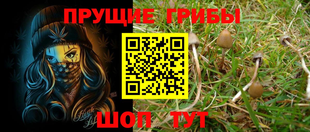 Нововоронеж  Псилоцибиновые грибы ЛСД  Вход с VPN 
