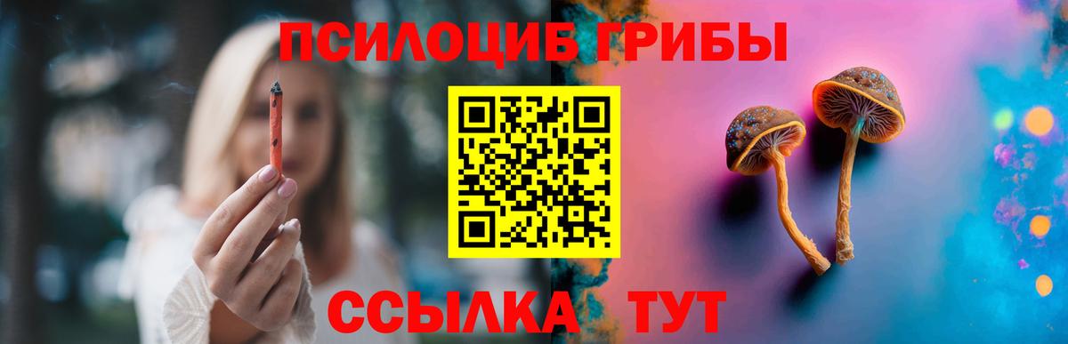 Галлюциногенные грибы мухоморы Нововоронеж